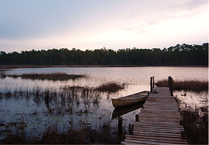 st john river img