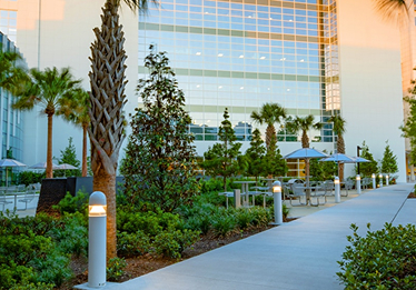 mayo clinic jacksonville img
