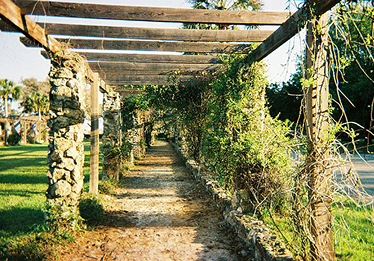 pathway img