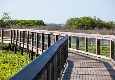 paynes prairie preserve